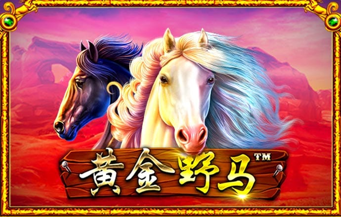 亚盈体育官网入口